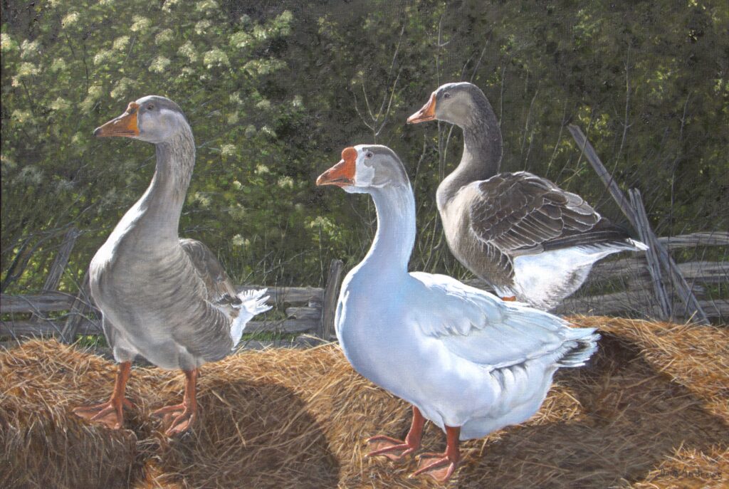 Curious Trio 21" X 30" Oil on Canvas