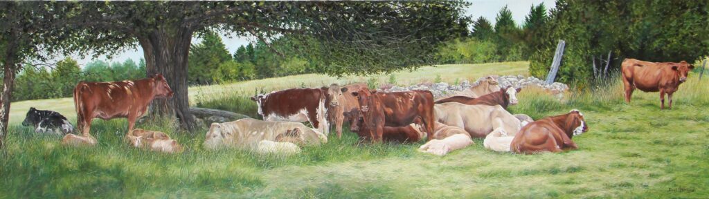 This monumental painting of cows and calves 
in the shade of a fencerow on a hot summer day was a daunting undertaking.

Historically, local farm families moved their cattle from winter housing on the home farm to summer “ranches” - a way of life that is being abandoned in favour of feed lots. Donny and his cows are gone now. The property has been sold and the fencerows have been removed to facilitate cash cropping.
