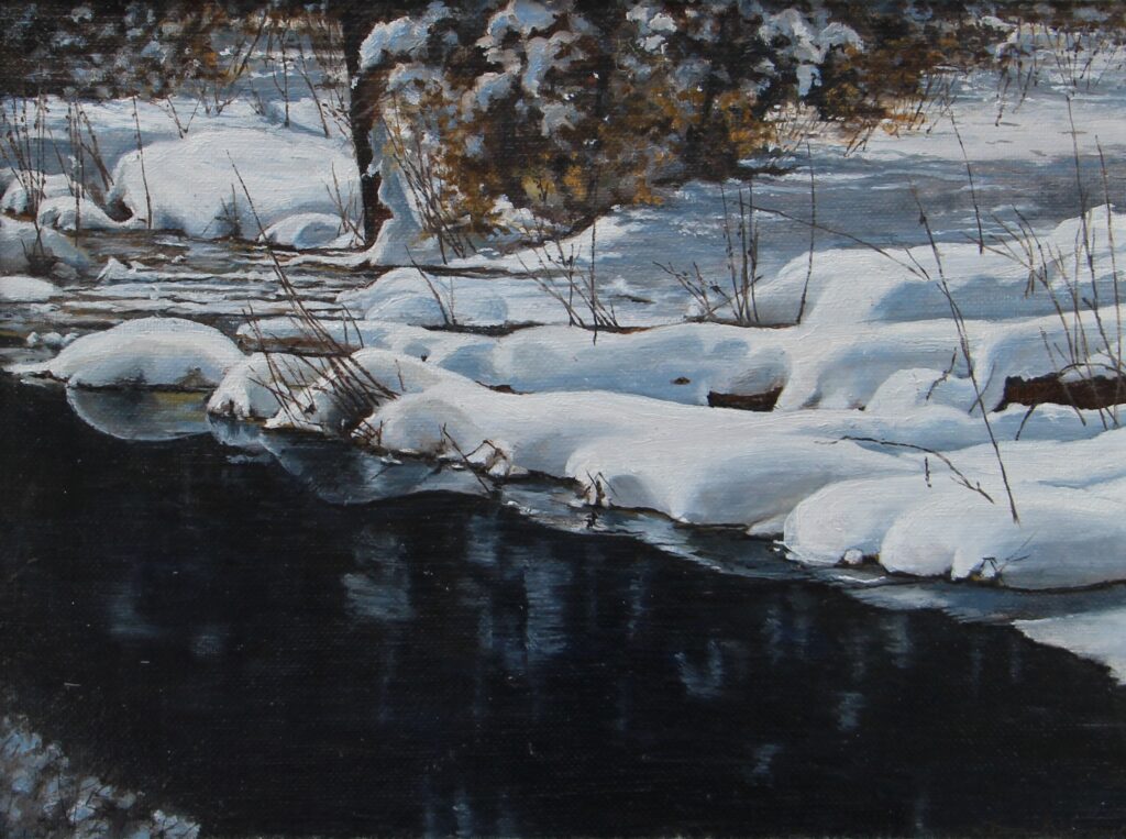 The warm spring sunlight has just melted the ice on this little stream.