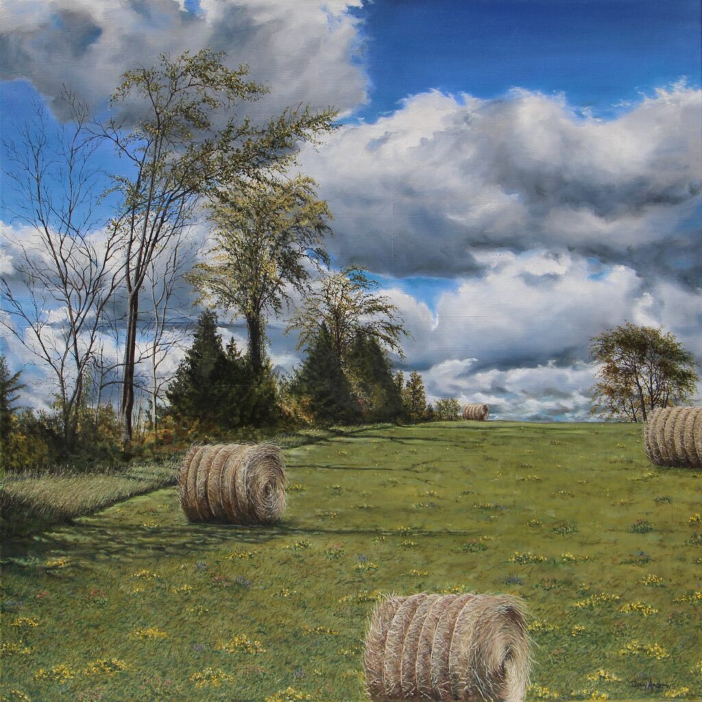 The fencerows that define the patchwork of fields typical of small-scale farming in our area provide natural corridors and diverse habitats essential to wildlife. Fencerows also combat soil erosion; wind and crop damage; mitigate drought and flooding. Maintaining fencerows is an important way to support insect populations, including pollinators and maintain the population of native birds. Without fencerows, the quality and productivity of the land will decline. 