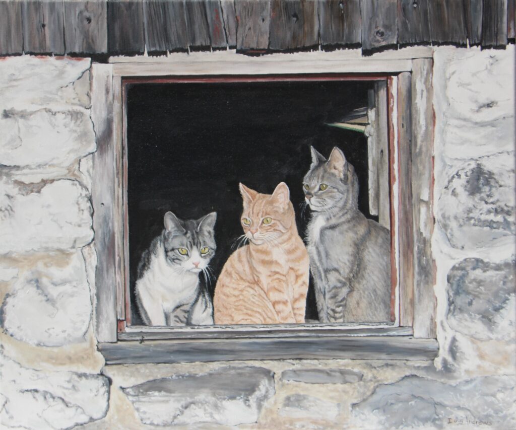 Three cats sitting in barn window waiting for me to do the chores.